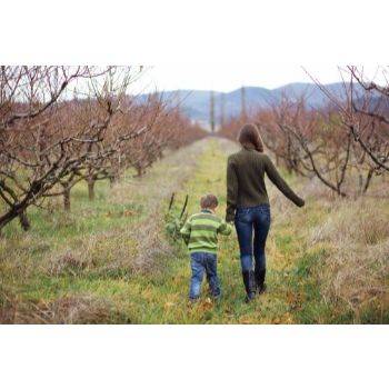 Relocation with Children Guidelines and Restrictions in New York